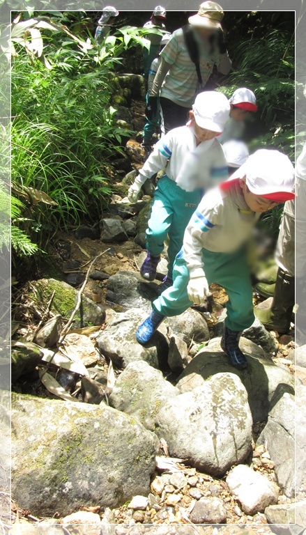 オープニングは、年長　百合組のマーチングからスタートです。緊張してドキドキの様子。