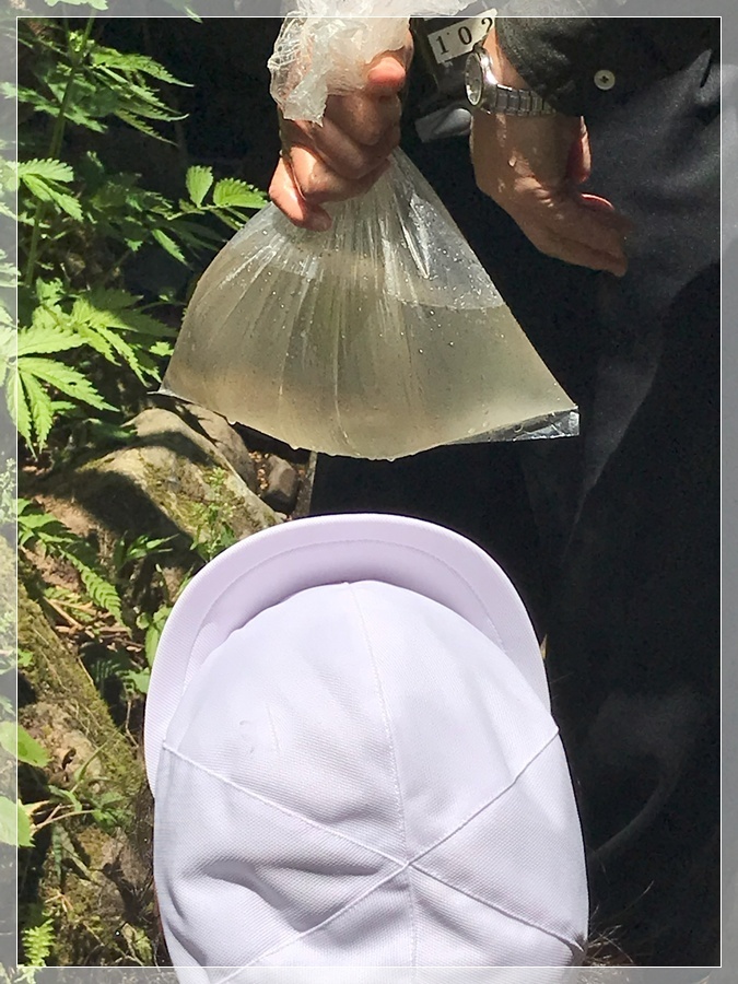 オープニングは、年長　百合組のマーチングからスタートです。緊張してドキドキの様子。