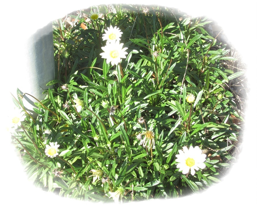 太鼓やシンバルの力強い音が響き渡っていました。