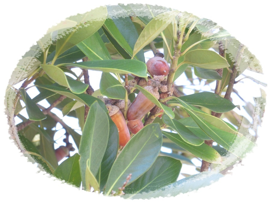 太鼓やシンバルの力強い音が響き渡っていました。